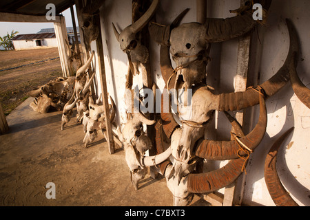 Indien, Nagaland, Mo, Wangkhao, Jagdtrophäen, einschließlich Elefant Schädel außerhalb Dorf Morung Stockfoto