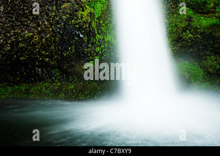 Schachtelhalm fällt, Columbia River Gorge National Scenic Area, Oregon, USA Stockfoto