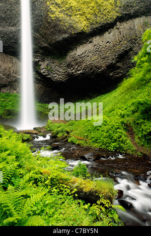 Latourell fällt umfallen Basalt Felsen, Columbia River Gorge National Scenic Area, Oregon, USA Stockfoto