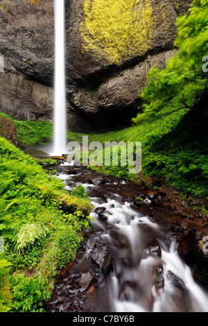 Latourell fällt umfallen Basalt Felsen, Columbia River Gorge National Scenic Area, Oregon, USA Stockfoto