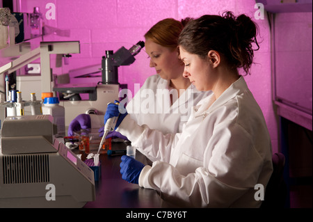Wissenschaftler führen ein Experiment in einem Labor Stockfoto