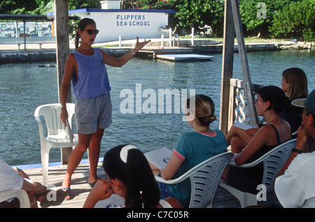 Ausbildung von Studenten im Dolphin Research Center in Marathon Key, FL Stockfoto