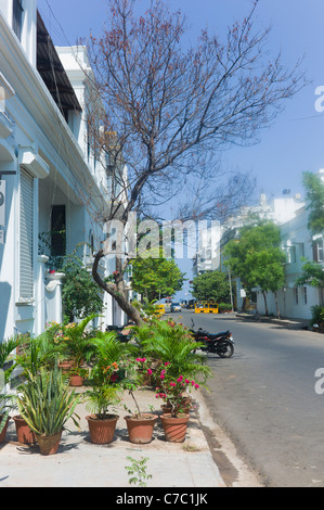 Französischer Kolonialarchitektur in Pondicherry (Puducherry), Tamil Nadu, Indien. Stockfoto
