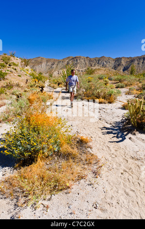 Wanderer in den Bergen von Coyote, Anza-Borrego Desert State Park, Kalifornien USA Stockfoto