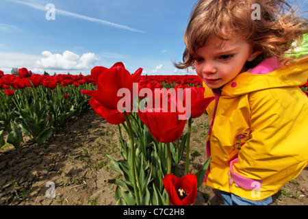 Mädchen stehen im Bereich der roten Tulpen, duftenden Blumen, Skagit Valley, Mount Vernon, Washington, USA Stockfoto