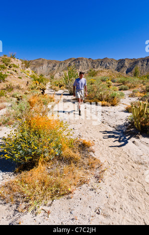 Wanderer in den Bergen von Coyote, Anza-Borrego Desert State Park, Kalifornien USA Stockfoto