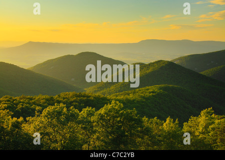 Zwei Meile laufen übersehen, Shenandoah-Nationalpark, Virginia, USA Stockfoto