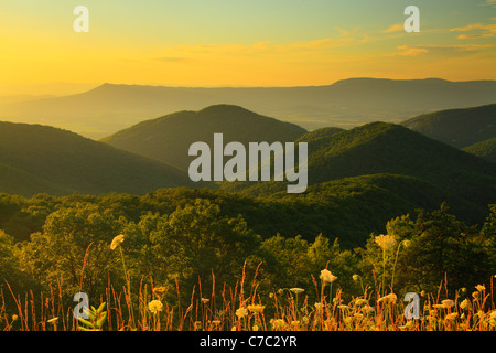 Zwei Meile laufen übersehen, Shenandoah-Nationalpark, Virginia, USA Stockfoto