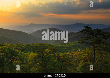 Zwei Meile laufen übersehen, Shenandoah-Nationalpark, Virginia, USA Stockfoto