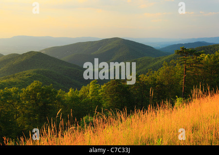 Zwei Meile laufen übersehen, Shenandoah-Nationalpark, Virginia, USA Stockfoto