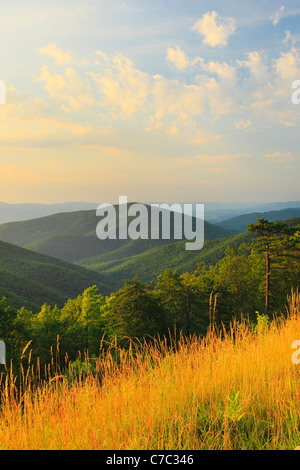 Zwei Meile laufen übersehen, Shenandoah-Nationalpark, Virginia, USA Stockfoto