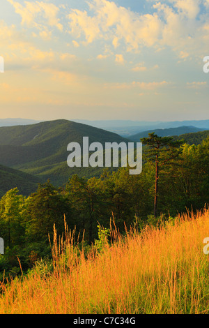 Zwei Meile laufen übersehen, Shenandoah-Nationalpark, Virginia, USA Stockfoto