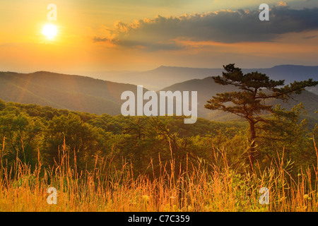 Zwei Meile laufen übersehen, Shenandoah-Nationalpark, Virginia, USA Stockfoto