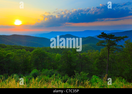 Zwei Meile laufen übersehen, Shenandoah-Nationalpark, Virginia, USA Stockfoto