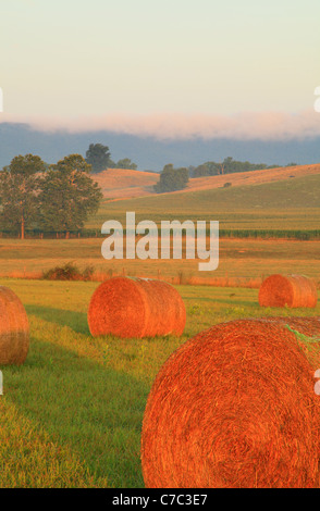 Heu-Ballen und Bauernhof, Swoope, Shenandoah Valley, Virginia, USA Stockfoto