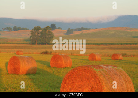 Heu-Ballen und Bauernhof, Swoope, Shenandoah Valley, Virginia, USA Stockfoto