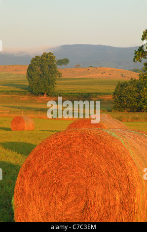 Heu-Ballen und Bauernhof, Swoope, Shenandoah Valley, Virginia, USA Stockfoto