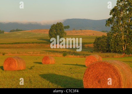 Heu-Ballen und Bauernhof, Swoope, Shenandoah Valley, Virginia, USA Stockfoto