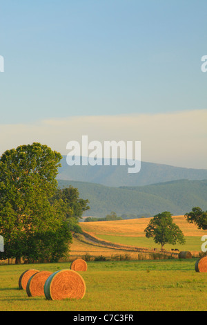 Heu-Ballen und Bauernhof, Swoope, Shenandoah Valley, Virginia, USA Stockfoto