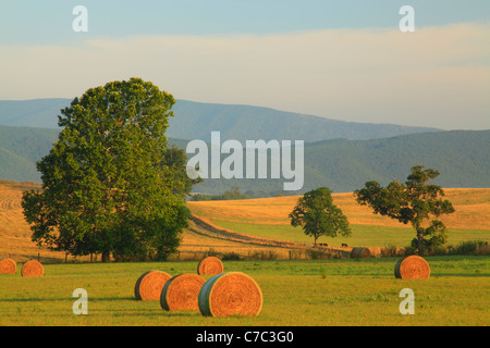 Heu-Ballen und Bauernhof, Swoope, Shenandoah Valley, Virginia, USA Stockfoto