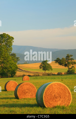 Heu-Ballen und Bauernhof, Swoope, Shenandoah Valley, Virginia, USA Stockfoto