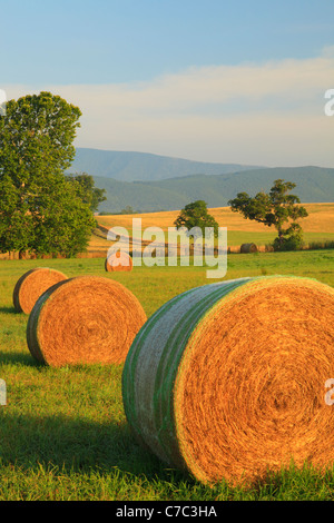 Heu-Ballen und Bauernhof, Swoope, Shenandoah Valley, Virginia, USA Stockfoto