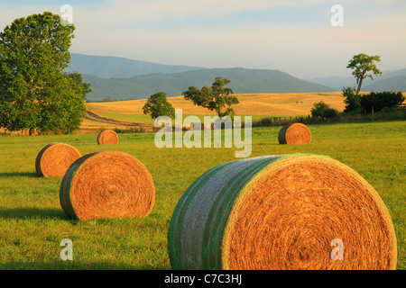 Heu-Ballen und Bauernhof, Swoope, Shenandoah Valley, Virginia, USA Stockfoto