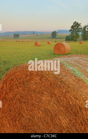 Heu-Ballen und Bauernhof, Swoope, Shenandoah Valley, Virginia, USA Stockfoto