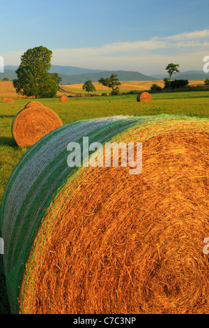 Heu-Ballen und Bauernhof, Swoope, Shenandoah Valley, Virginia, USA Stockfoto