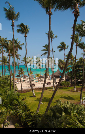 Erhöhten Blick auf Palm Beach, Aruba, Niederländische Karibik, weißen Sandstrand, Sonne Badegäste, zeigt klar, türkisfarbenes Meer und Palmen Bäume Stockfoto