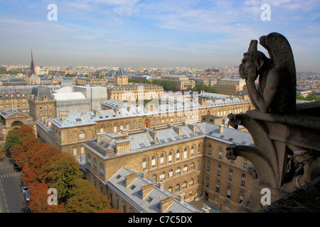 Wasserspeier mit Blick auf die Stadt von Paris aus die hohen Türme der Kathedrale Notre Dame, Paris, Frankreich Stockfoto