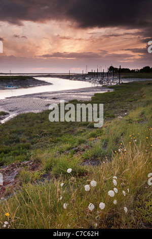 Der Mündung des River Brue, in der Nähe von Burnham am Meer. Stockfoto