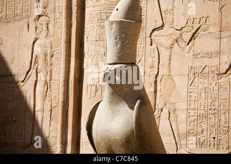 Statue des Gottes Horus in den Court angeboten in den Tempel des Horus in Edfu, Ägypten unter der Leitung von falcon Stockfoto