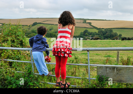 Kinder am Zaun, die auf Tiere von Höheren Rew Campsite, Salcombe, Devon, England, Großbritannien, blicken Stockfoto