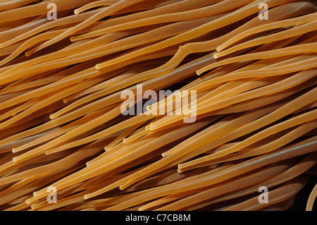 Snakelocks Anemone (Anemonia Viridis) Stockfoto