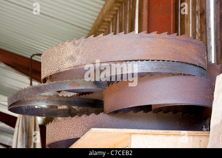 Holz sah kreisförmigen klingen Rusty Haufen mit scharfen Zähnen Stockfoto