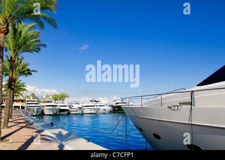 Calvia Puerto Portals Nous Luxusyachten Mallorca Balearen-Insel von Spanien Stockfoto