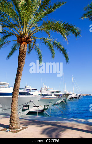 Calvia Puerto Portals Nous Luxusyachten Mallorca Balearen-Insel von Spanien Stockfoto