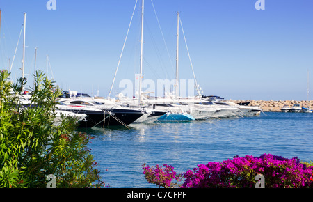 Calvia Puerto Portals Nous Blick von Bougainvilleen Garten in Mallorca Balearen-Insel Stockfoto