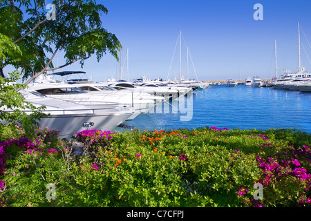 Calvia Puerto Portals Nous Blick von Bougainvilleen Garten in Mallorca Balearen-Insel Stockfoto