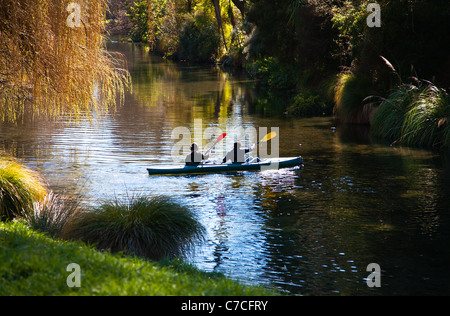 Zwei Personen, eine Kajak paddeln / Kanu auf dem Fluss Avon, Hagley Park, Christchurch, Canterbury, Südinsel, Neuseeland. Stockfoto