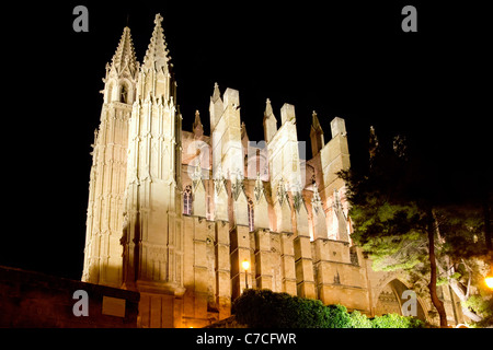 Kathedrale von Palma de Mallorca La Seu Nacht Ansicht Perspektive Mallorca Balearen Stockfoto