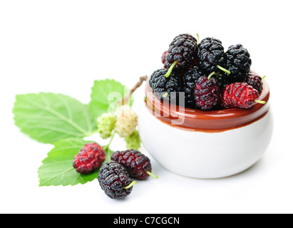 Reife Maulbeere Beeren in einer Schüssel auf weißem Hintergrund Stockfoto