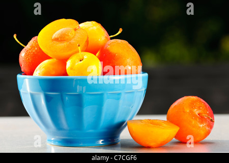 Frische gelbe Pflaumen in eine Schüssel geben, außerhalb Stockfoto