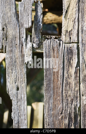 Verwitterte Holzbretter, äußere des beschädigten shack Stockfoto