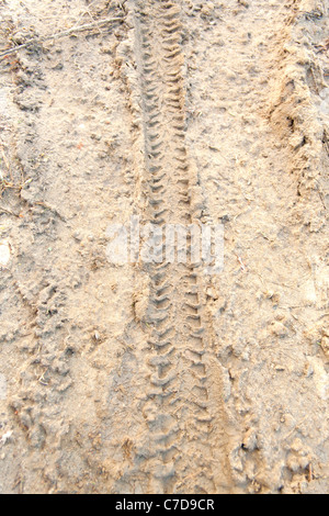 Motorrad-Reifenspuren im nassen Sand bedruckt Stockfoto