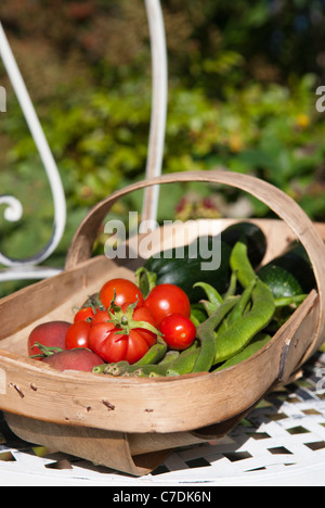 Eine Auswahl von Sommergemüse in eine Sussex Weide Trug. Stockfoto