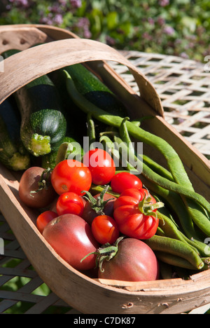 Eine Auswahl von Sommergemüse in eine Sussex Weide Trug. Stockfoto