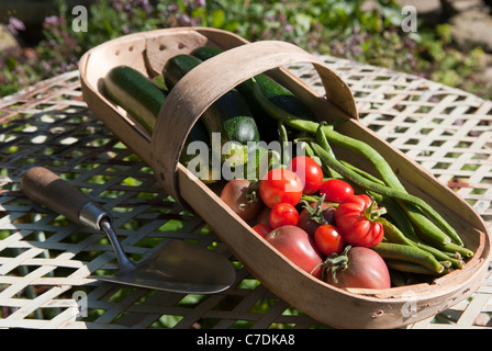 Eine Auswahl von Sommergemüse in eine Sussex Weide Trug. Stockfoto