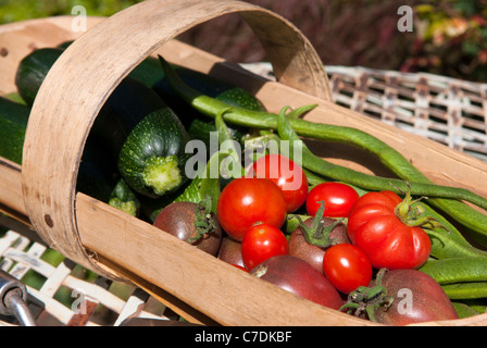 Eine Auswahl von Sommergemüse in eine Sussex Weide Trug. Stockfoto